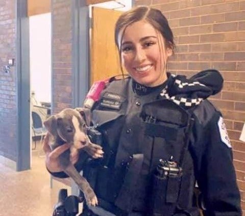 Two brothers charged in Chicago shooting that killed police officer